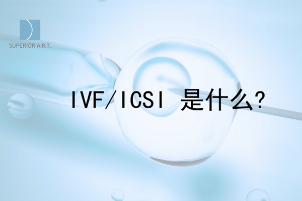 燕威娜医生讲解,IVF/ICSI是什么？